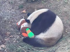 -大连森林动物园