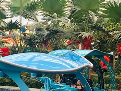 游乐设施-南宫五洲植物乐园