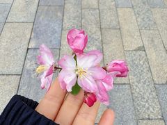 -盘龙城遗址博物院