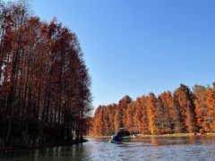 -上海海湾国家森林公园