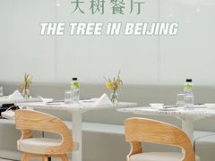 -大树餐厅(朝阳大悦城店)