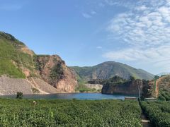 -树山生态村