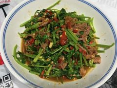 -壹盏灯(惠农店)
