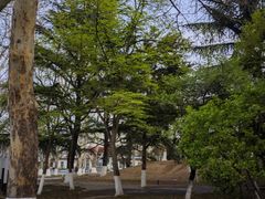 -山东农业大学(岱宗校区)