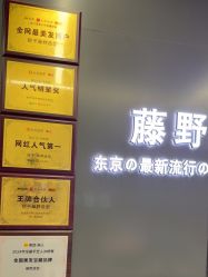 点击看大图 -藤野造型