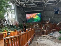 -中国第四纪冰川遗迹陈列馆