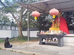 -上海佘山国家森林公园天马山园