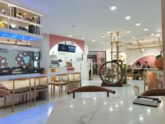 -喵园·猫主题咖啡厅·撸猫·猫咖(国贸店)