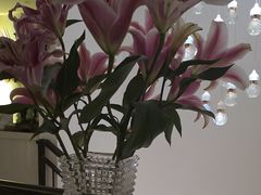 -和里合·颜愈SPA·Relax瑶浴·Massage(石厦店)