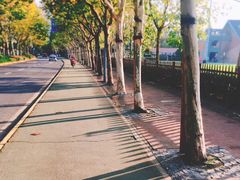 -上海德威外籍人员子女学校(浦东校区)