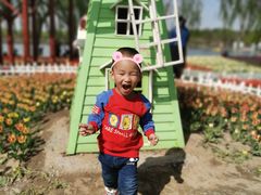 -廊坊文化艺术中心