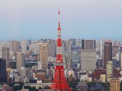 -六本木新城展望台(东京城市景观)