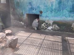 -无锡动物园·太湖欢乐园