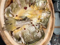 -1937青岛老味道·海肠捞饭·青岛菜(大鲍岛栈桥店)