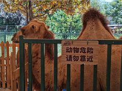 -海合安武汉极地海洋公园