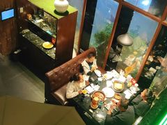 -三强鸽子(中原路店)