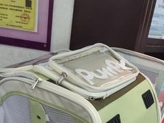 -宠爱国际动物医院·消化内科·心肾内科·ISFM猫友好(望京店)