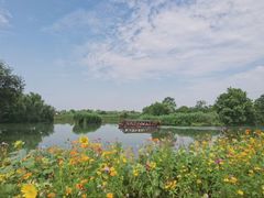 -西溪国家湿地公园