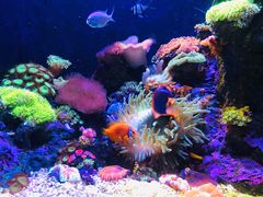 -成都浩海立方海洋公园