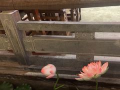 -徽镇小厨·经典徽菜(十里河店)