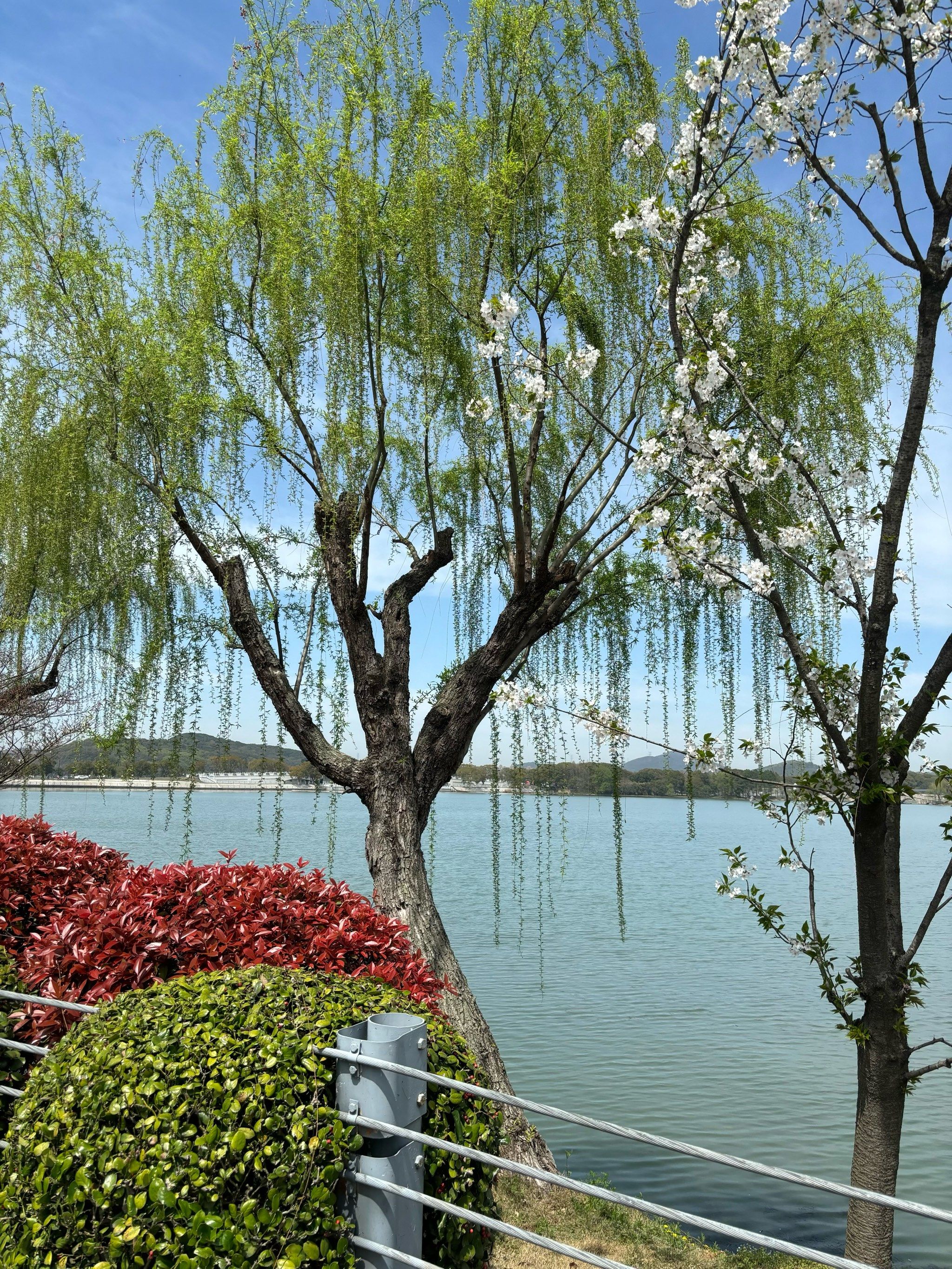 遇见治愈系风景@点小游 
最美人间四月天