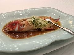 东星斑-禅一·静观堂(长寿路店)
