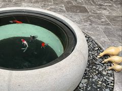 -武当山风景区