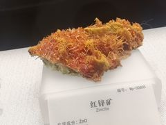 -湖南省地质博物馆