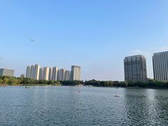 -南翔镇银翔湖公园
