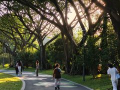 -云溪植物园