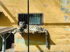 -青藏高原野生动物园