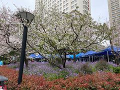 -上海市普陀区中心医院