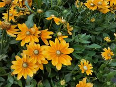 -成都濑川外国语学校