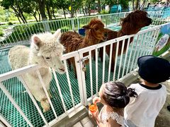 -水上乐园·欢乐世界