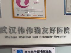 -伟伟宠物医院·瑞派猫友好医院·猫科(光谷店)