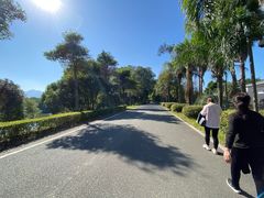 -福建鲤鱼洲酒店