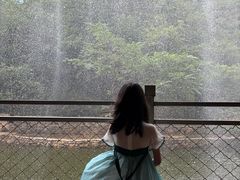 -湖洞水自然风景区