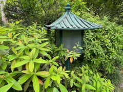 -秋霞圃