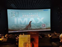 -星河寰宇IMAX影城(星河WORLD·COCO Park店)