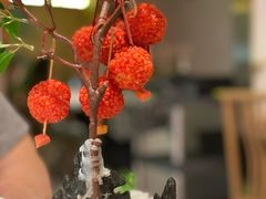 -奔跑吧陕菜·盛世长安(民乐园万达店)