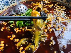 黄辣丁-青城甲(青城山店)