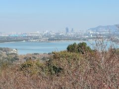 -香雪海