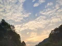 -桃花岭景区