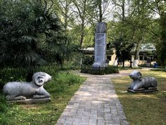 -紫金山山顶公园