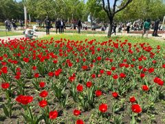 -长春公园(普阳街道)