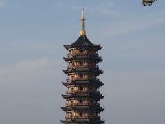 -葛仙湖公园