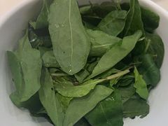 -同仁四季椰子鸡(福田东园总店)