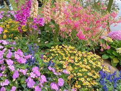 -人民公园(罗湖区)