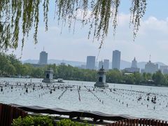-济南大明湖景区