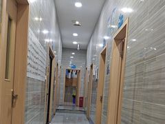 -瑞派名望志远动物医院·猫科·內科·异宠专科(直港大道店)
